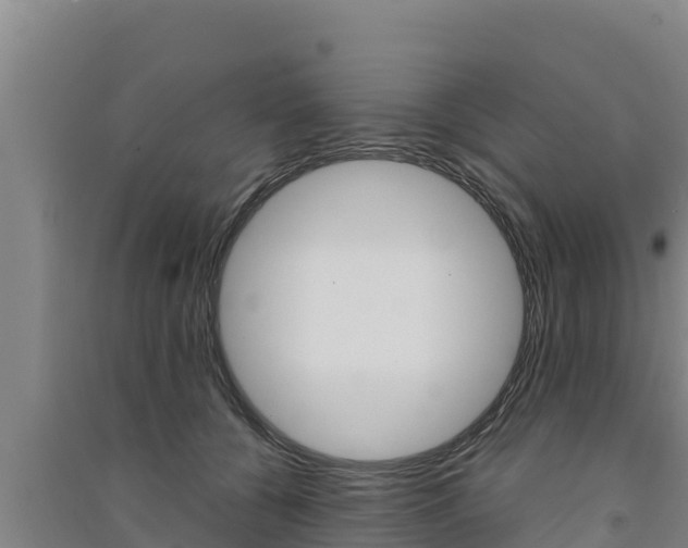 X0000091560560200708171103