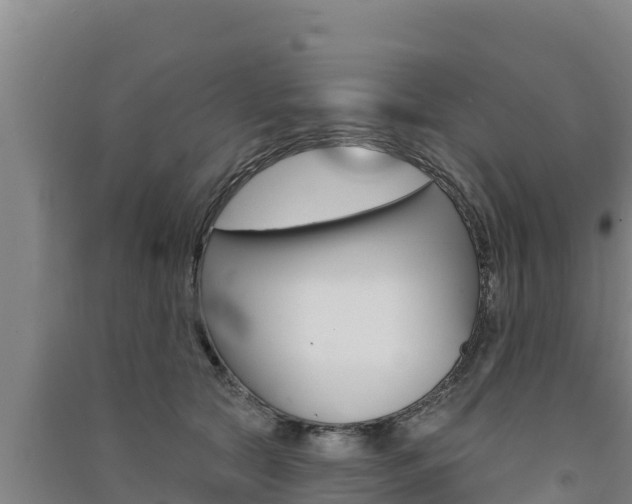 X0000091560561200708171103