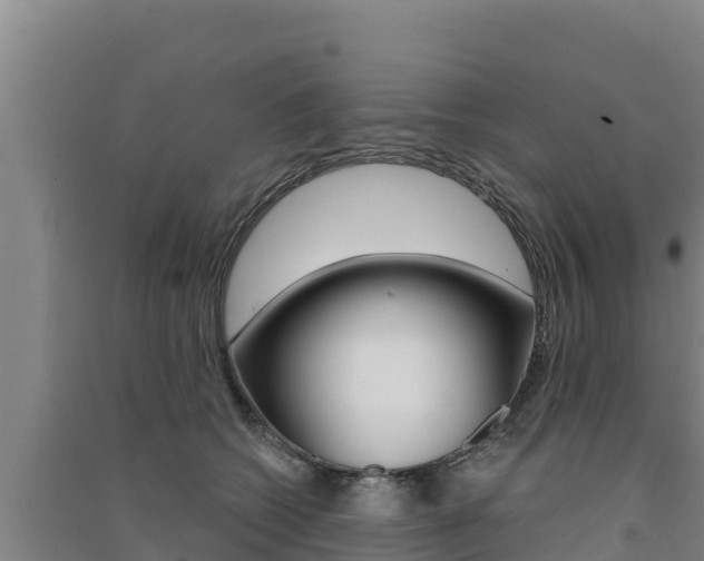 X0000091560562200708171103