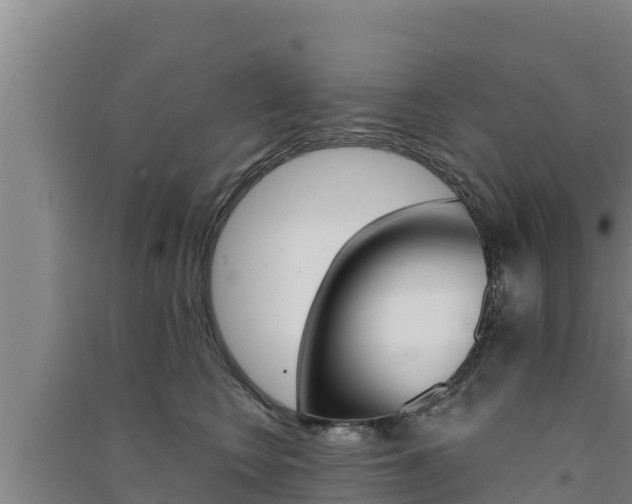 X0000091560566200708171103