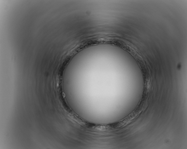 X0000091560567200708171103