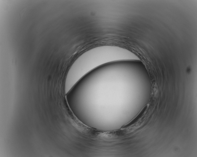 X0000091560568200708171104