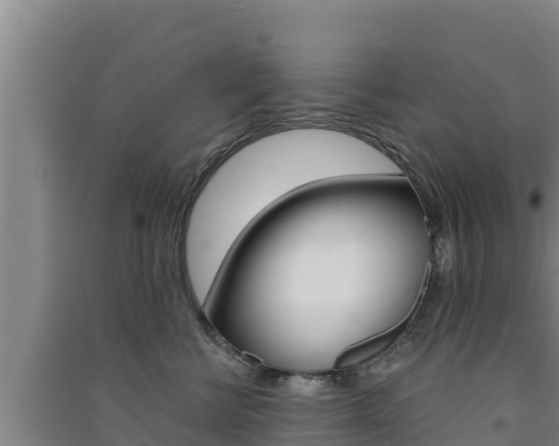 X0000091560570200708171104