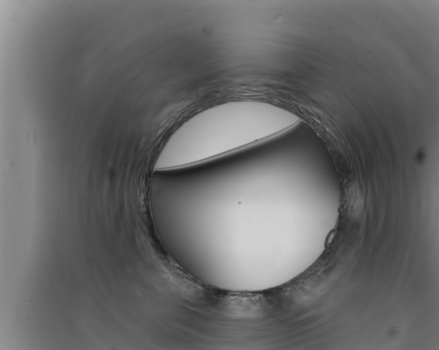 X0000091560571200708171104