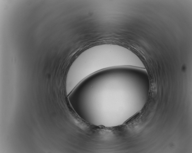 X0000091560572200708171104