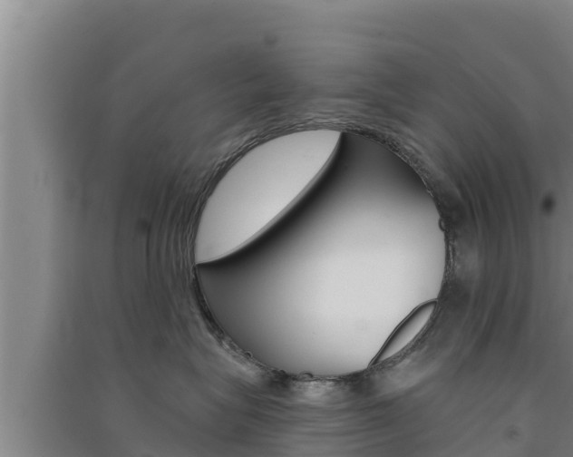 X0000091560575200708171104