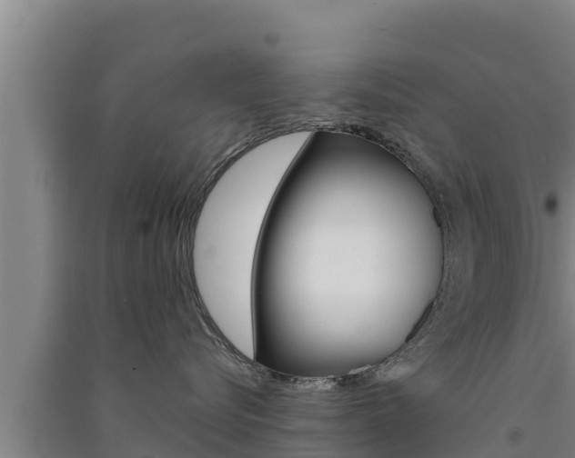X0000091560576200708171104