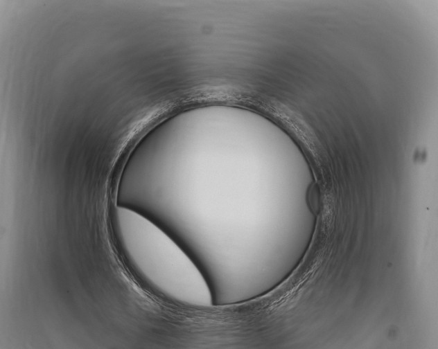X0000091560578200708171103