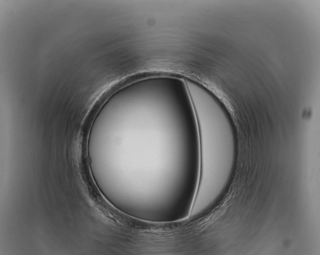 X0000091560580200708171103