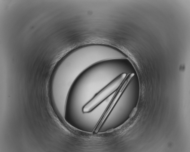 X0000091560581200708171103