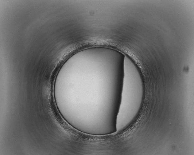 X0000091560582200708171103