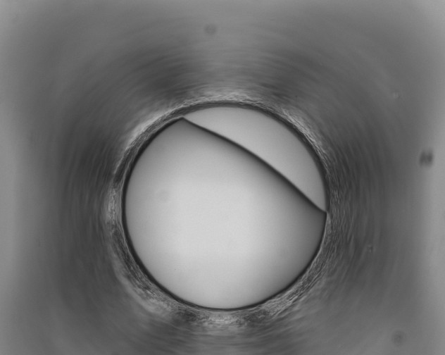 X0000091560583200708171103