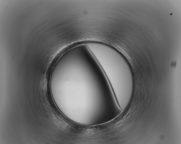 X0000091560584200708171103