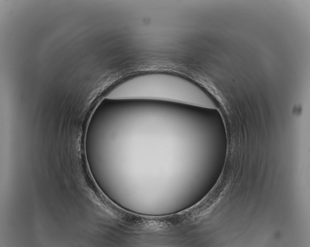 X0000091560585200708171103