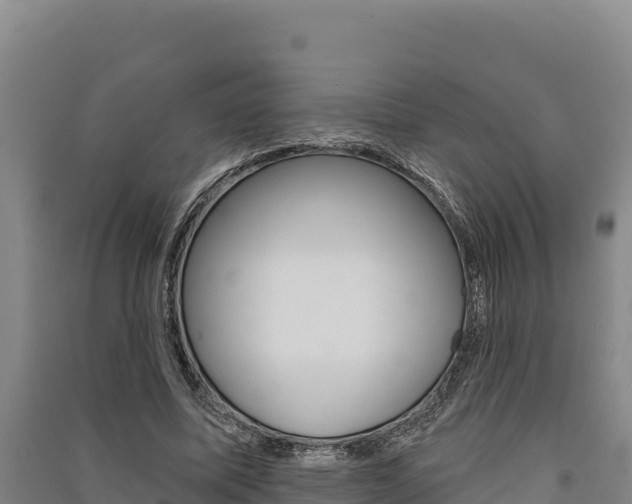 X0000091560587200708171103