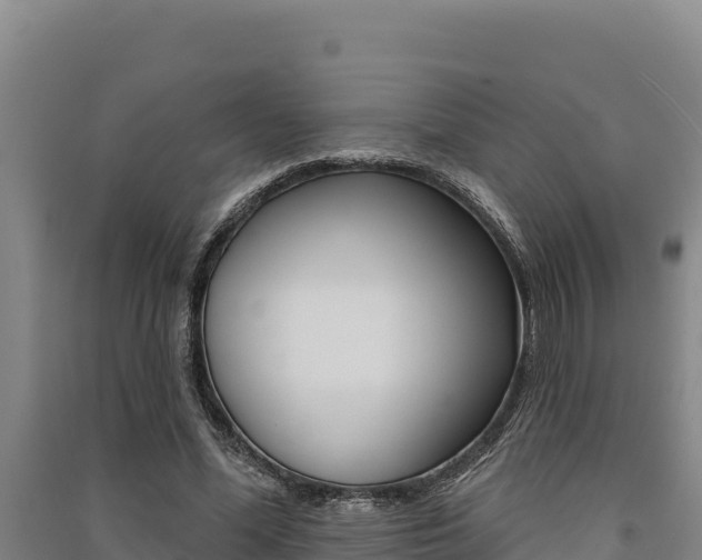 X0000091560588200708171103