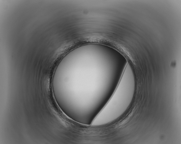 X0000091560589200708171103