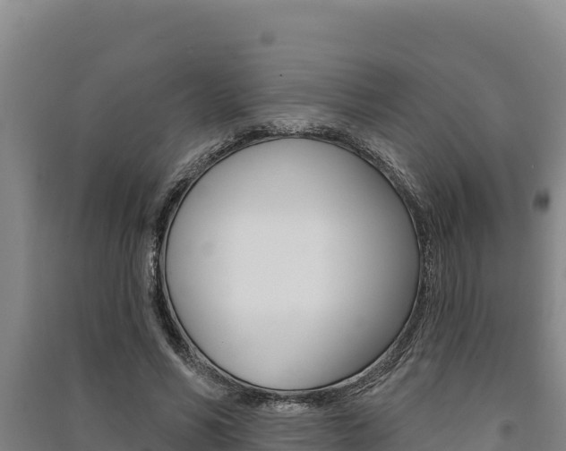 X0000091560590200708171103