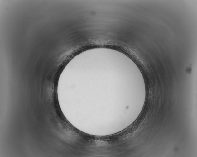 X0000091560592200708171103