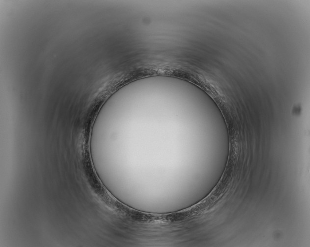 X0000091560594200708171103