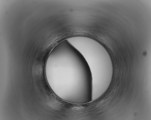 X0000091560595200708171103