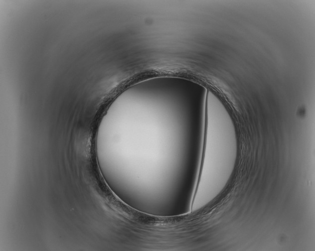 X0000091560596200708171103