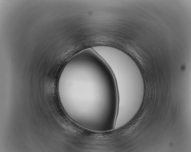 X0000091560597200708171103