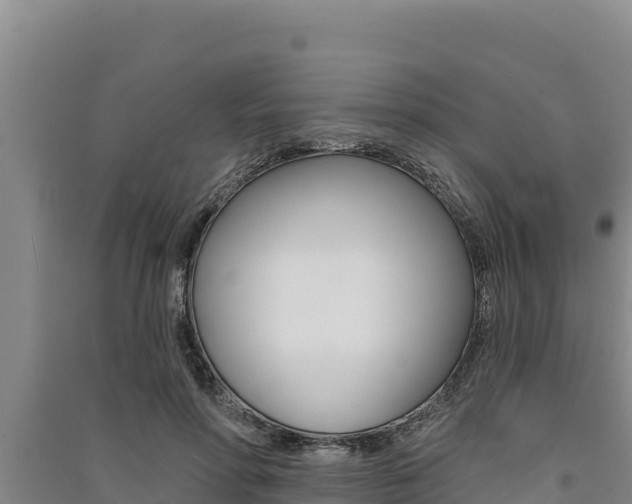 X0000091560598200708171103