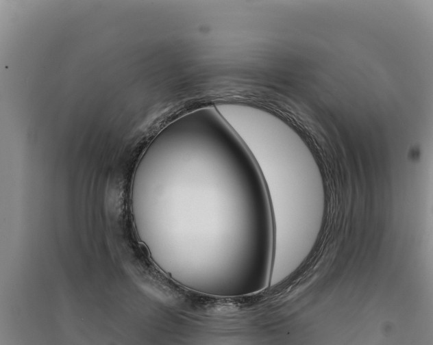 X0000091560600200708171103