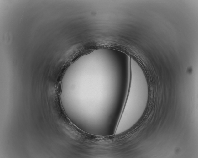 X0000091560601200708171103
