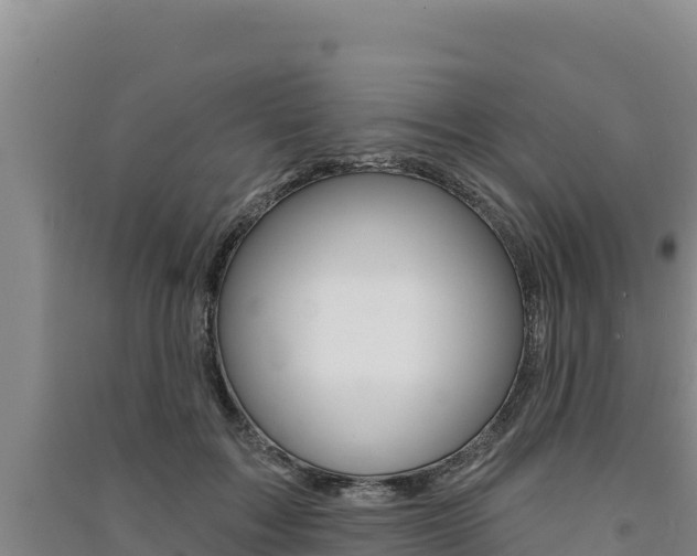 X0000091560603200708171103