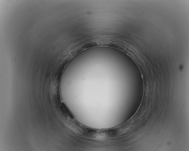 X0000091560604200708171102