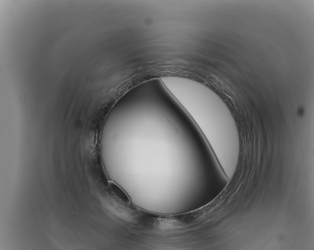 X0000091560605200708171102