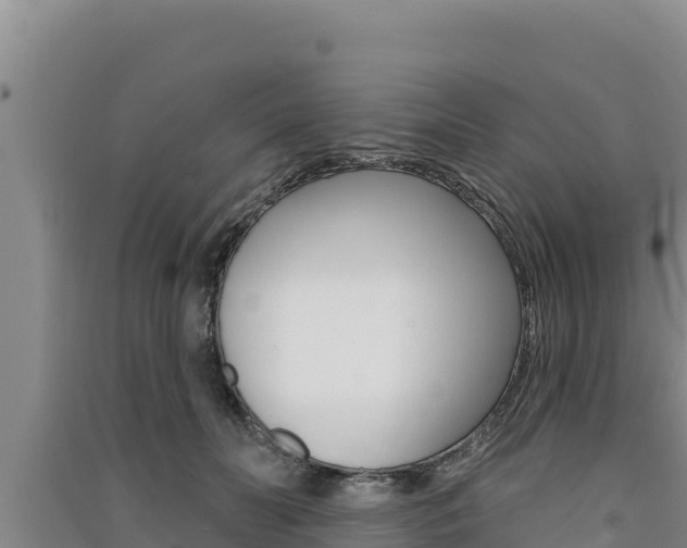 X0000091560606200708171102