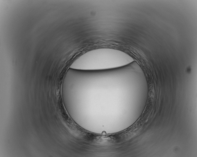 X0000091560607200708171102