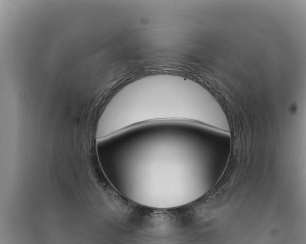 X0000091560608200708171102