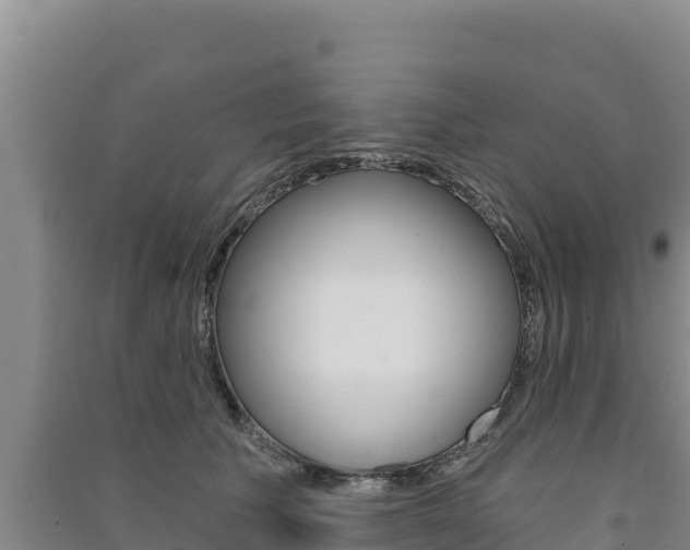X0000091560609200708171102