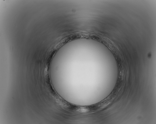 X0000091560610200708171102