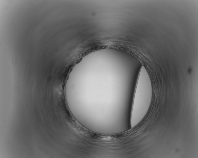 X0000091560611200708171102
