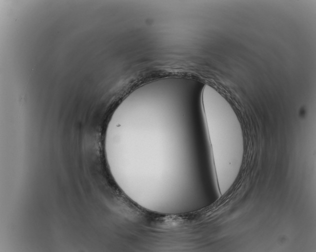 X0000091560612200708171102