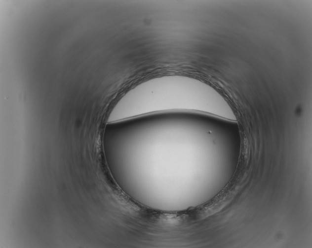 X0000091560613200708171102