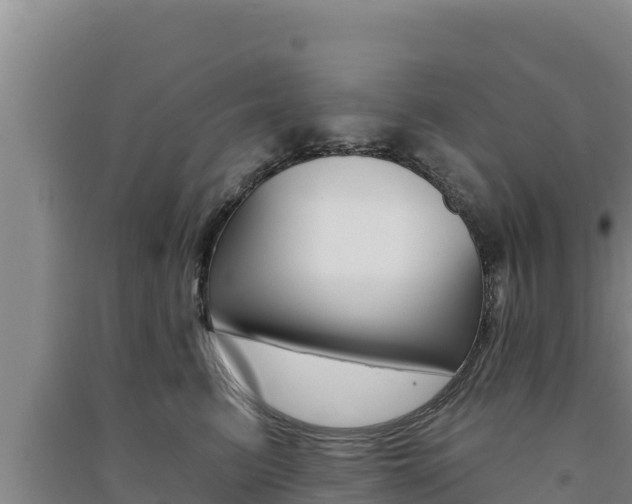 X0000091560615200708171102