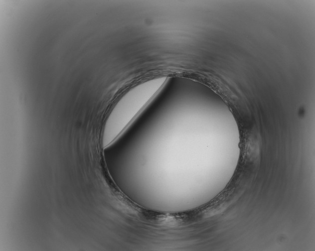 X0000091560616200708171102