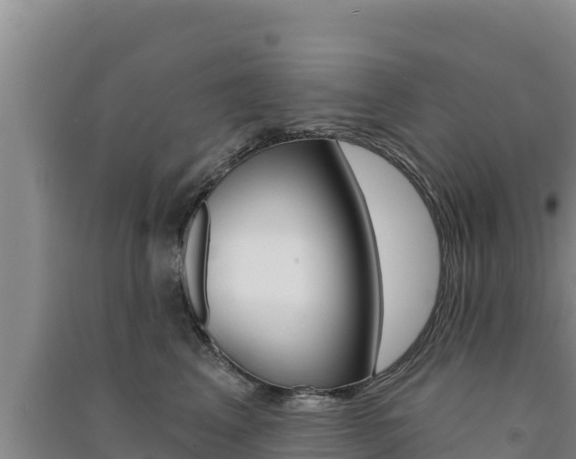 X0000091560617200708171102