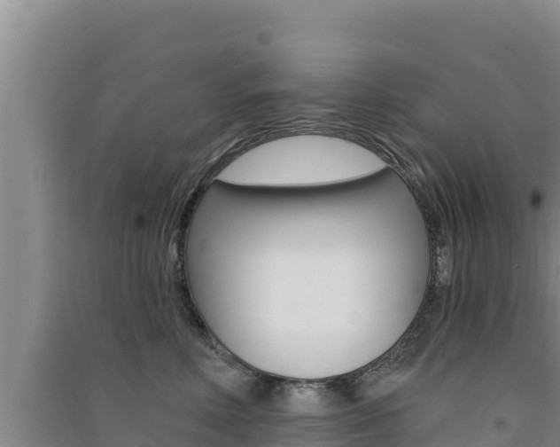 X0000091560618200708171102
