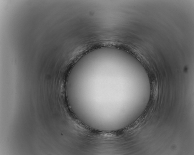 X0000091560619200708171102