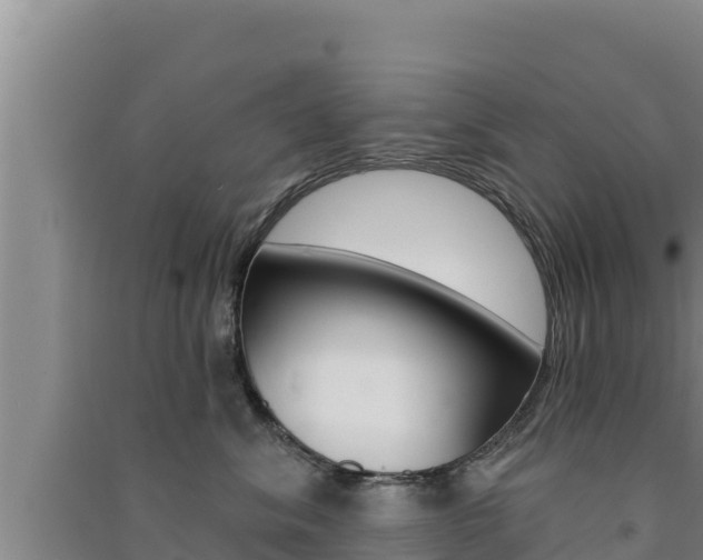 X0000091560620200708171102