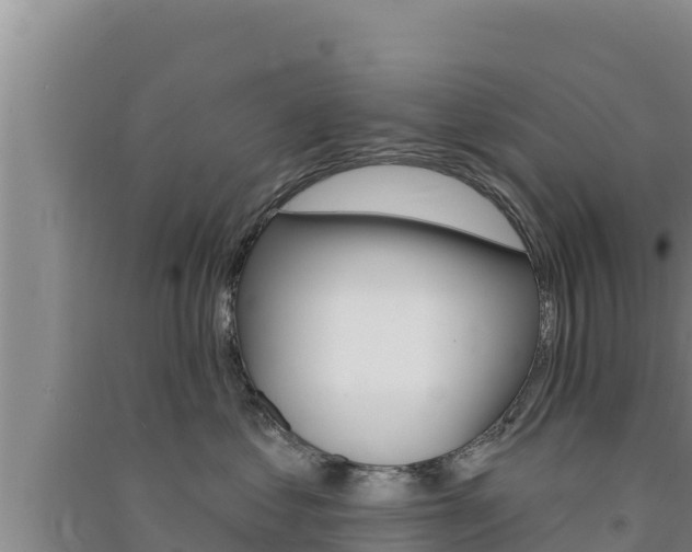 X0000091560621200708171102