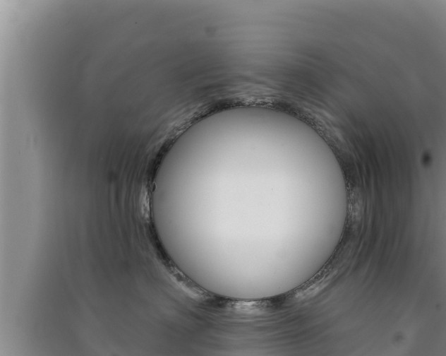 X0000091560622200708171102