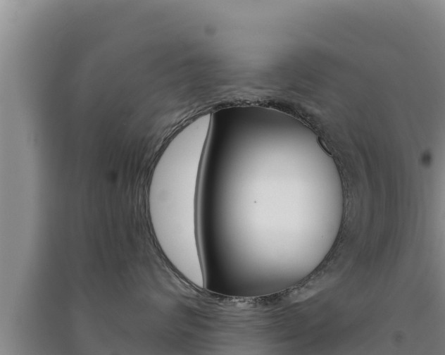 X0000091560624200708171102